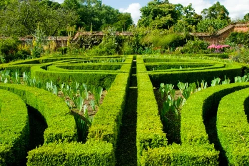 The formal gardens behind the Hall