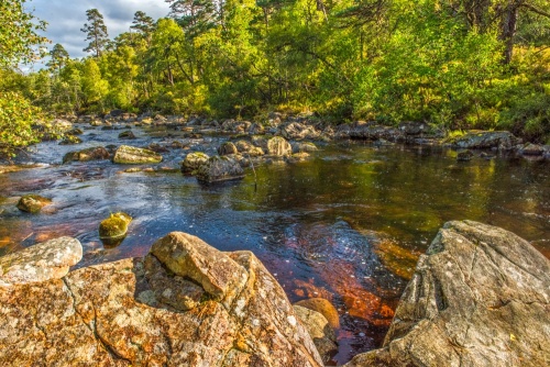 Glen Affric and Dog Falls