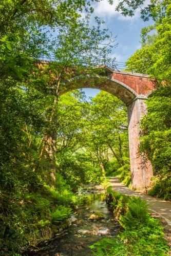 The Talyllyn Railway Vidauct