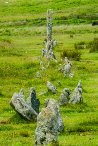The southern stone row at Drizzlecombe