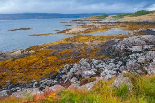 Drumbuie Coastal Walk
