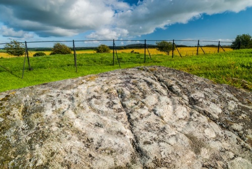 Drumtroddan Cup and Ring Marked Stones