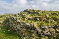 Remains of the stone wall