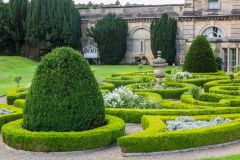 Formal gardens near the house