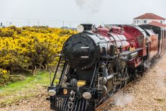 The 'Winston Churchill' under steam at Dungeness station