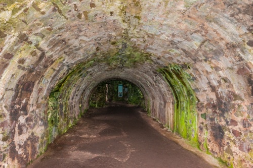 The Whig's Vault