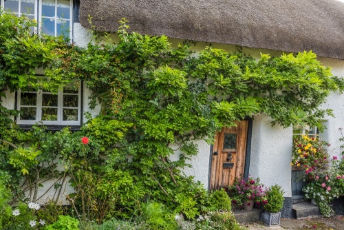 Thatched cottage, Dunsford