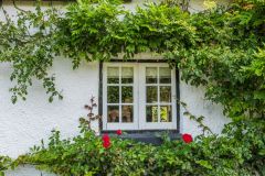 Greenery surrounds an old cottage window