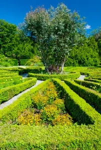 Formal gardens
