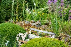 Topiary surrounds a garden bench