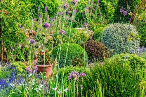 Dyffryn Fernant Garden