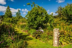 Turf paths lead through a garden area