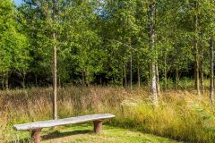 A quiet garden bench for contemplation