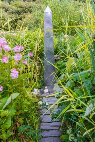 The bog garden