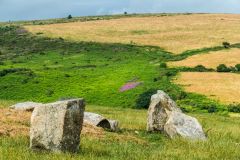 Looking east across the circle