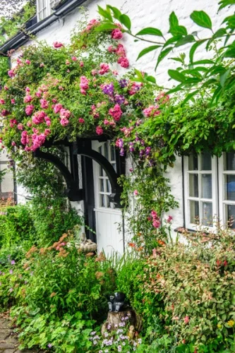 A beautiful cottage on Church Road, Eardislay