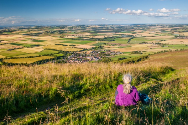 Falkland from East Lomond hill