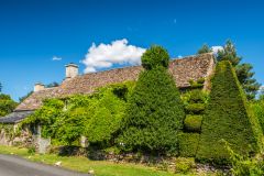 A pretty cottage with topiary