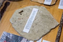 A Roman roof tile of Collyweston stone