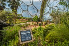 Inside the Mediterranean Biome