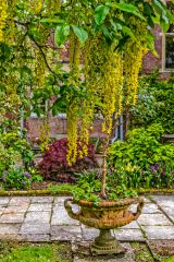 The rear of the house