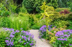 Paths wind through informal flower beds