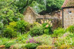 A garden on the High Street