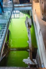 The original unrestored water wheel