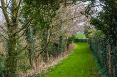 Footpaths lead around the farm steading