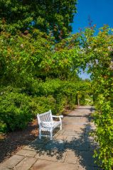 A shaded walk at the top of the garden
