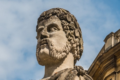 Emperor Head