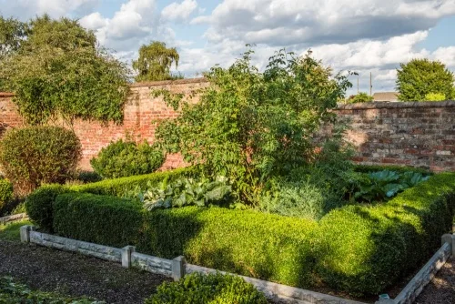 The John Wesley physic garden