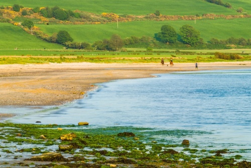 Ettrick Bay, looking south