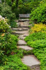 Steps in the Rock Garden