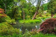 The colourful Azalea Bowl