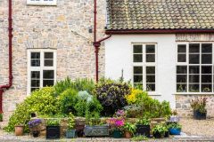 The rear of the house