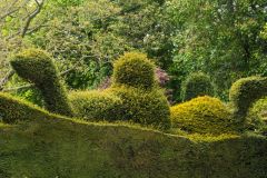 Fanciful topiary near the house