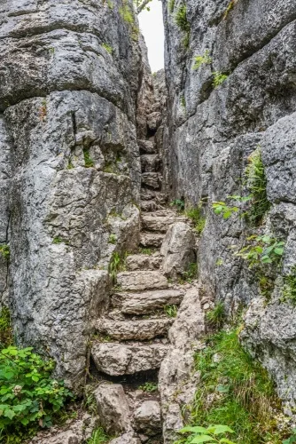 Now, try climbing up