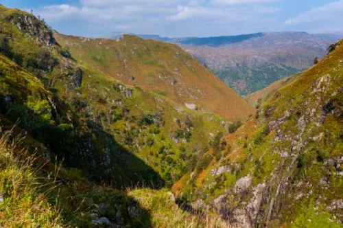 Looking down from the Falls