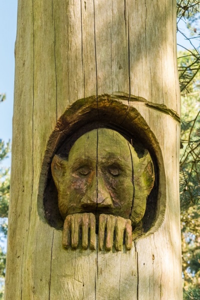 The woodland is full of absurdities like this sculpture