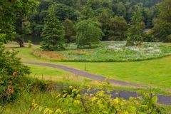 The view from the parking area