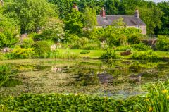 The former monastic stew pond