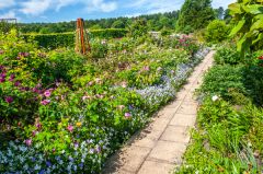 Lush herbaceous borders