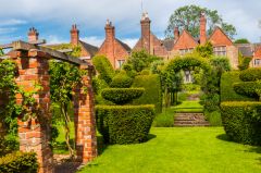 In the formal topiary garden