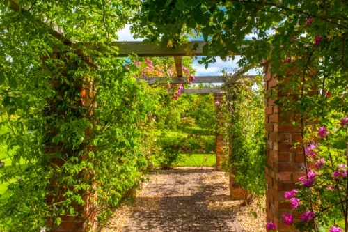 A shaded summer pergola