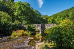 Fingle Bridge