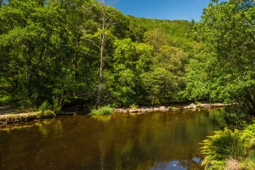 The River Teign at Fingle Bridge