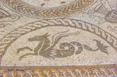 A hippogryph mosaic