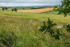 The Scottish battle line location