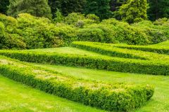 The Millennium Parterre